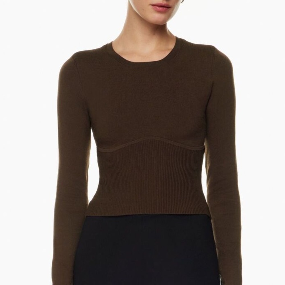 Aritzia Babaton Sculpt Knit Empire Longsleeve